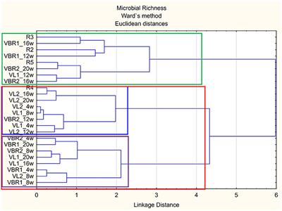 Carbon source utilization pattern of soil bacterial microbiome of bambara groundnut rhizosphere at the different growth stages determines soil fertility